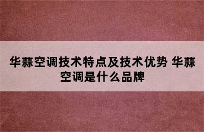 华蒜空调技术特点及技术优势 华蒜空调是什么品牌